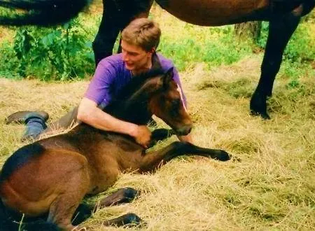 Tannenspitze Wittenberg