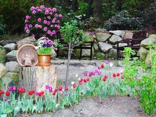 Hotel Tannenspitze 3*